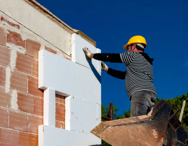 Best Geographic-Specific Insulation Services in Springfield, MO